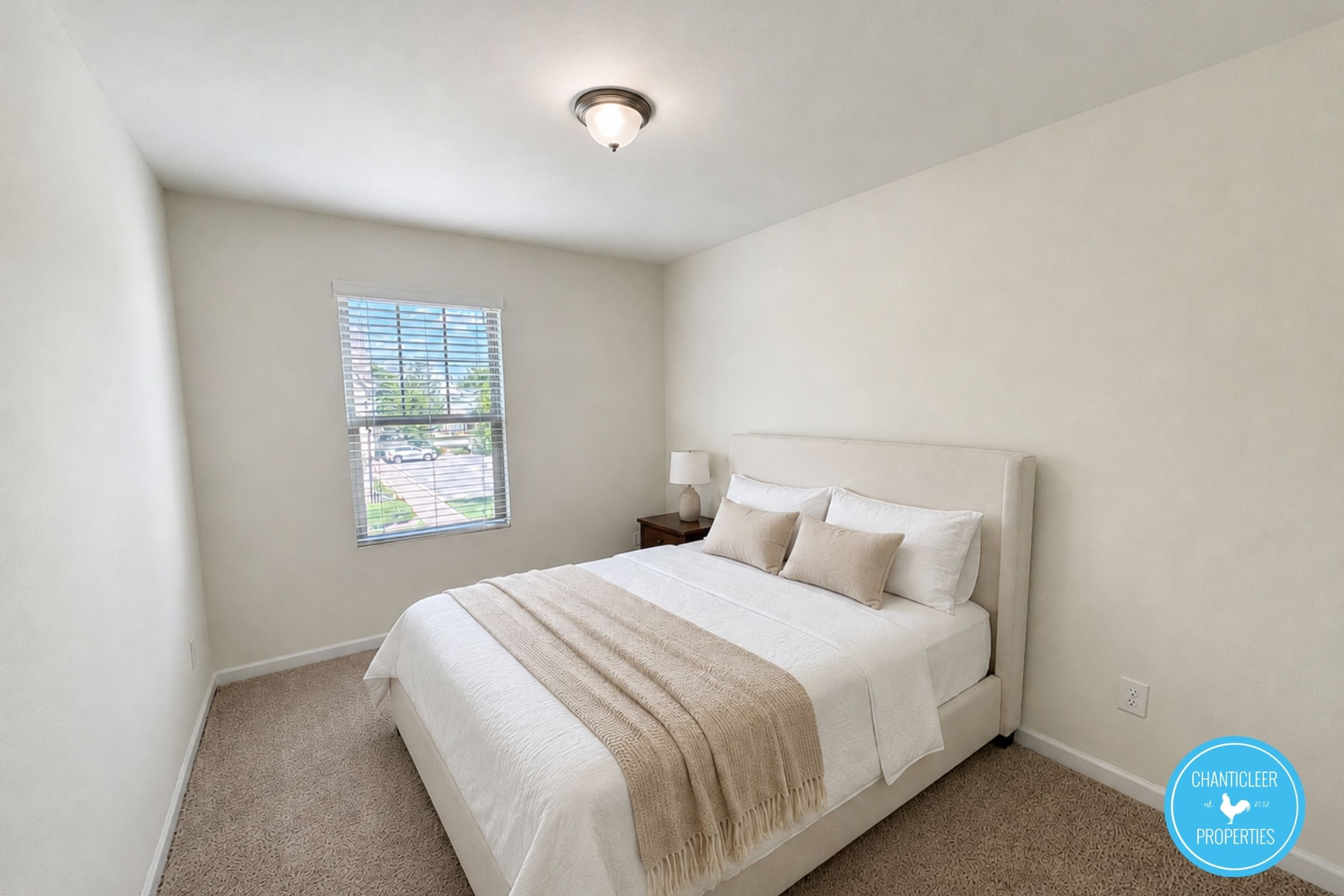 9917 Sweet Basil Drive photo 8