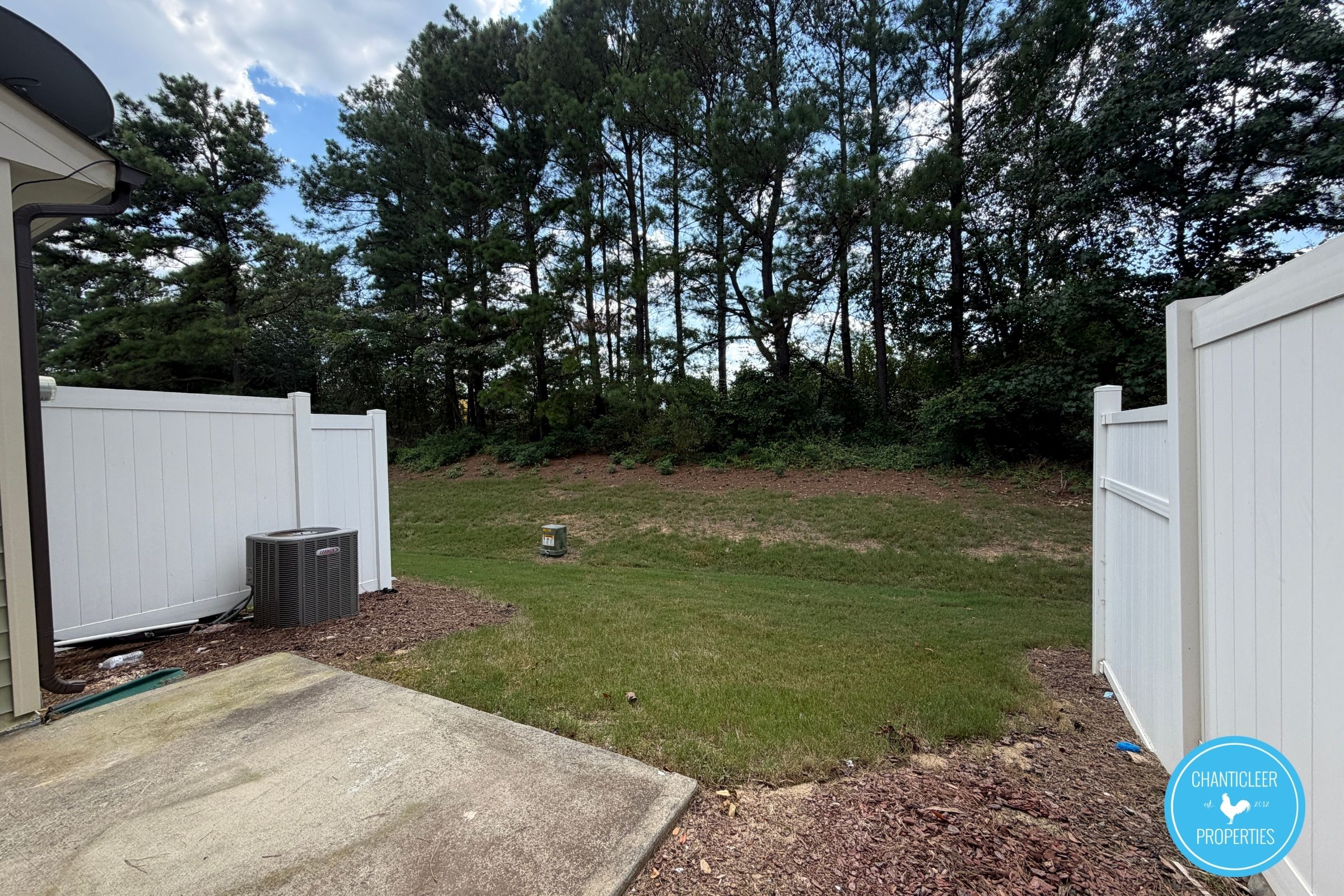 9917 Sweet Basil Drive photo 11