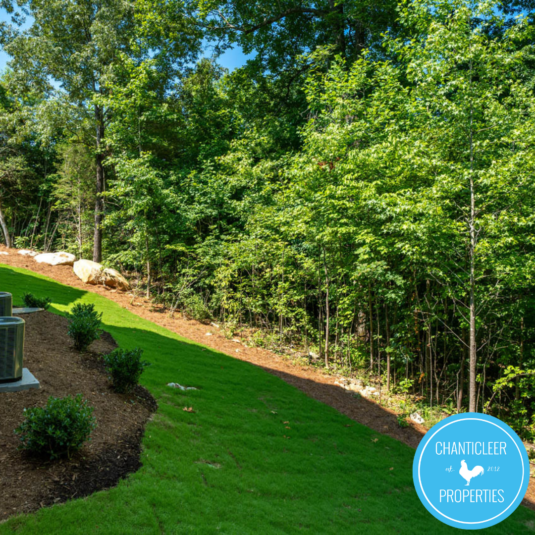 93 Lookout Ridge photo 23