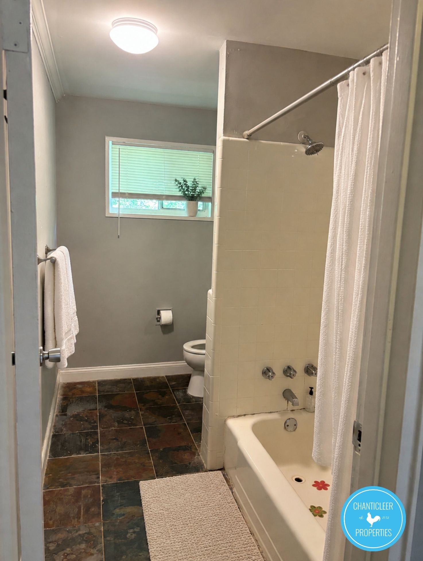 1047 West Academy Street — Unit 6 photo 6